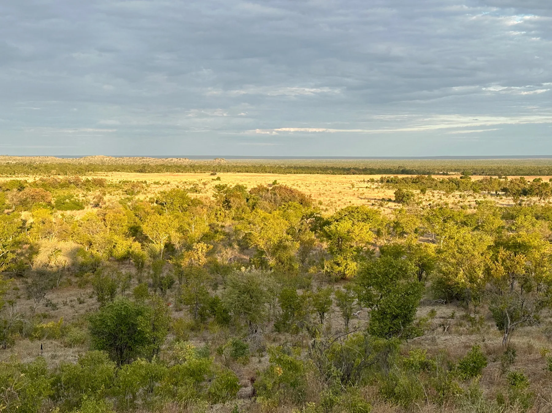 Weite Landschaft in Simbabwe.